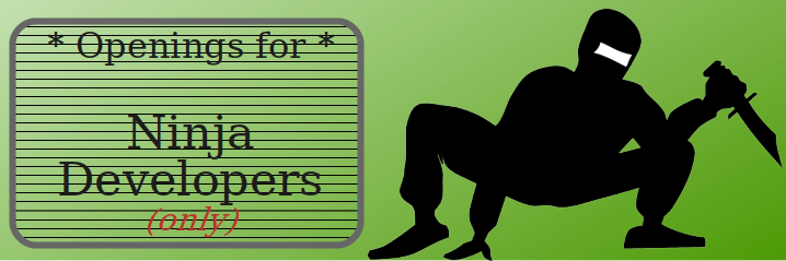 Hiring Ninja developers